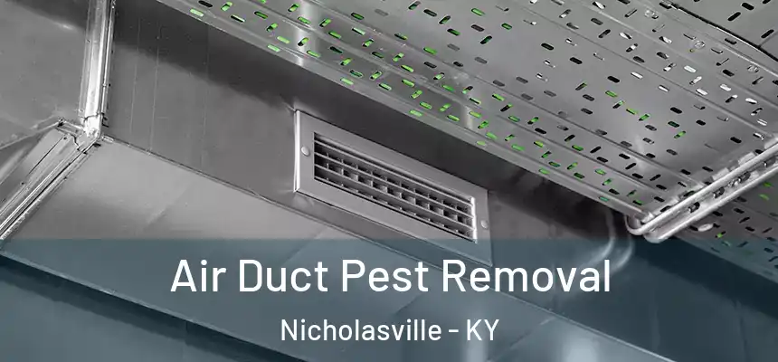 Air Duct Pest Removal Nicholasville - KY