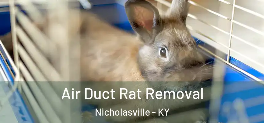 Air Duct Rat Removal Nicholasville - KY