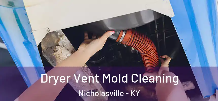  Dryer Vent Mold Cleaning Nicholasville - KY