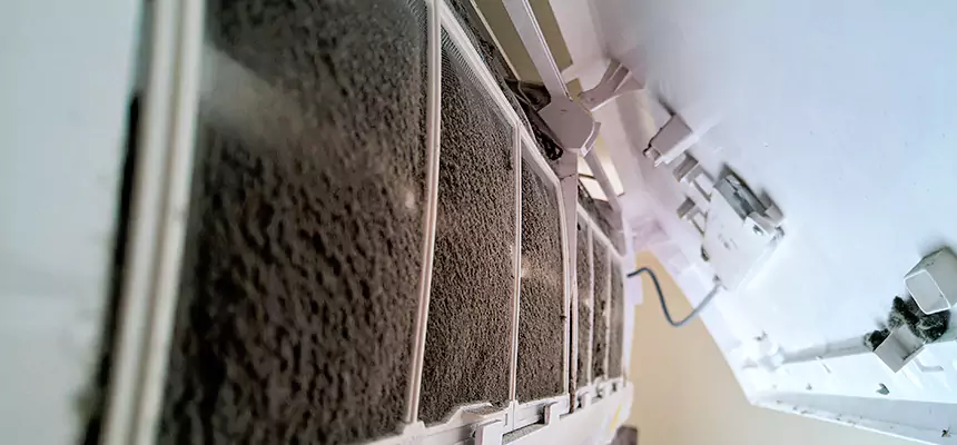 Preventive Air Duct Bacteria Removal in Nicholasville