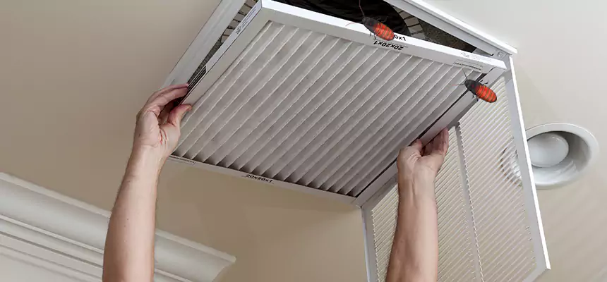 Preventive Cockroach-Proofing for Ducts in Nicholasville