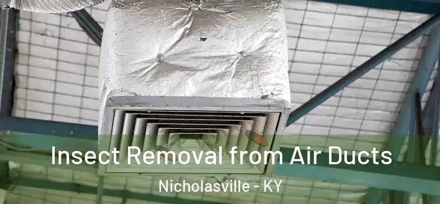 Insect Removal from Air Ducts Nicholasville - KY