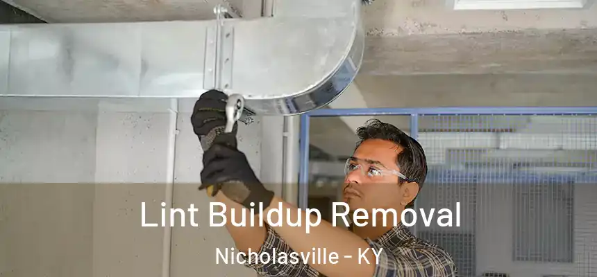  Lint Buildup Removal Nicholasville - KY