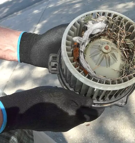 About Air Duct Mice Removal in Nicholasville, KY