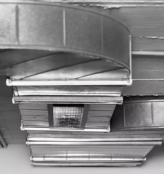 Professional Air Duct Pet Hair Removal in Nicholasville, KY