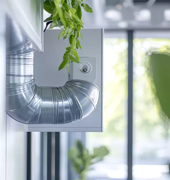 Professional Eco-Friendly Duct Cleaning Services in Nicholasville, KY