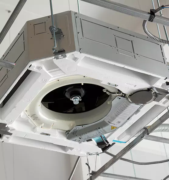 Professional Roof Vent Lint Removal Nicholasville, KY