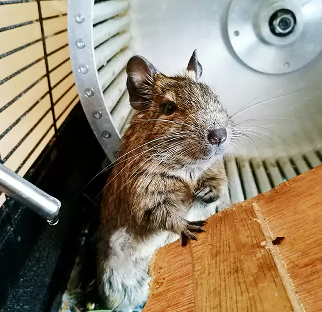 Why Homeowners & Businesses Trust Us Nicholasville, KY