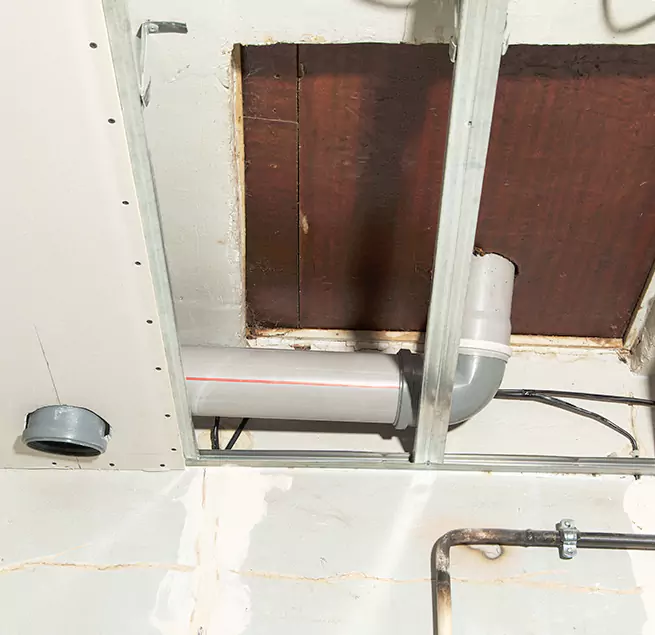 Why Homeowners & Businesses Trust Us in Nicholasville, KY?