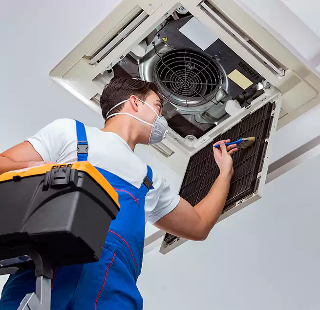 Why Homeowners & Businesses Trust Us in Nicholasville, KY