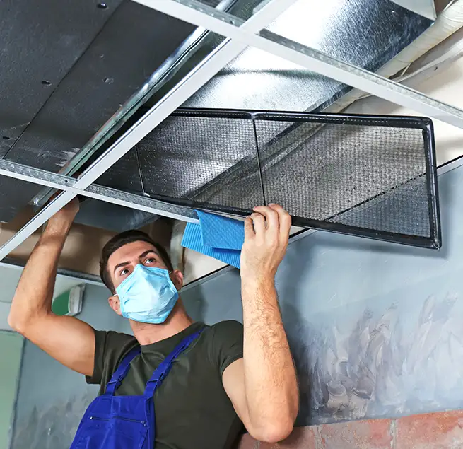 Why Homeowners & Businesses Trust Us in Nicholasville, KY?