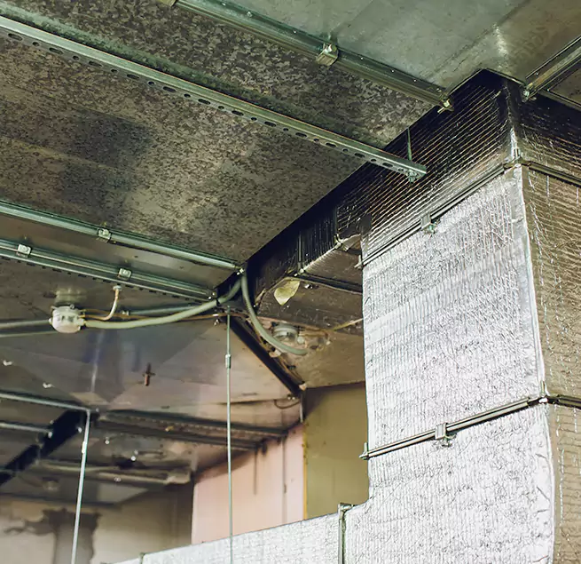 Why Homeowners & Businesses Trust Us in Nicholasville, KY?