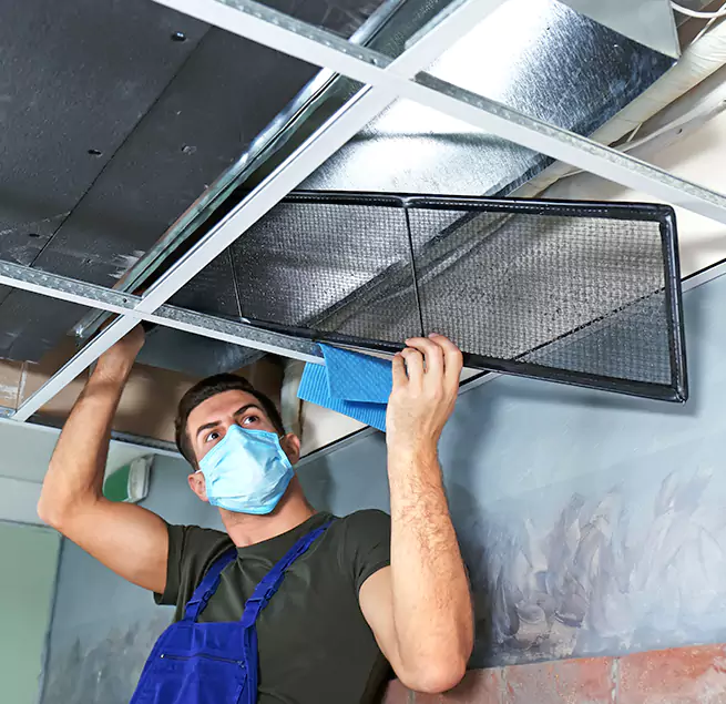 Why Homeowners & Businesses Trust Us in Nicholasville, KY?